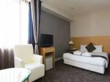 Executive Brown Double room