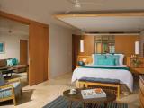 Master Preferred Club Double Suite with ocean view