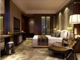 Double Studio Apartment