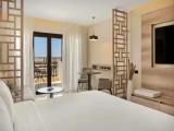 Superior Double Suite with view