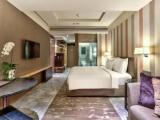 Guest Double Accessible room