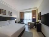 Accessible Double Room with city view