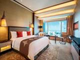 Guest Double room Skyline View