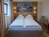 Standard Renovated Double room