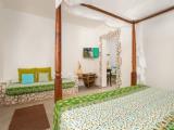 Superior Mvuvi room with garden view