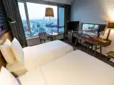 Superior Twin room with city view