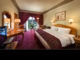 Superior Terrace Double room with pool view