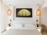 Deluxe Standard Double room with garden view