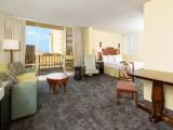 1 Bedroom Suite with city view