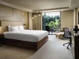 Double Accessible  room