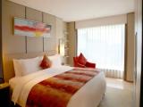 Business Deluxe Double Suite with city view