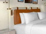 Executive Deluxe Junior Suite