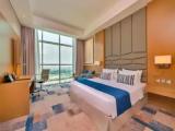 Superior Double room with city view