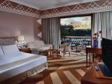 Classic Partial Nile View Double room