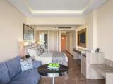 Deluxe Double room with garden view