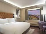 Ambassador Double Suite