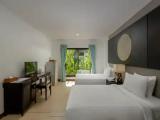 Sea Turtle Double Suite