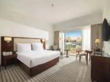 Deluxe Double room with museum view