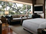 Premier Double room with garden view