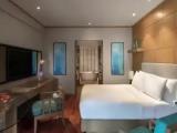 Terrace Double Junior Suite