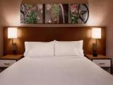 Quadruple Accessible Guest room