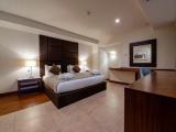 Deluxe Double Penthouse Suite