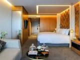 Contemporary Junior Suite