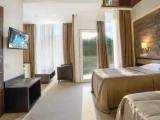 Standard Double room with park view