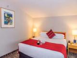 Gallery Suite