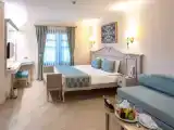Superior Double Club room