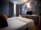 Deluxe Business Twin room