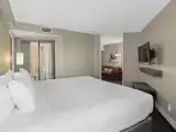 1 Bedroom Suite
