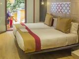 Superior with Terrace Double room