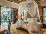 1 Bedroom Plunge Pool Double Villa