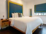 Premium Collins Suite
