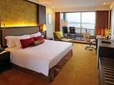 Premium Double room with garden view