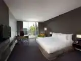 Premium Deluxe room with balcony and with park view