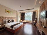 Premier Double room with city view