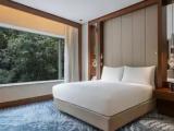 Deluxe Accessible Double room