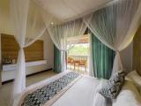 Deluxe Double room with garden view