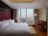 1 Bedroom Executive Double Suite Mountain view