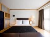 Matterhorn Double Suite
