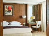 Executive Double Suite
