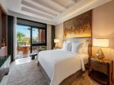 Terrace Double Suite with pool view