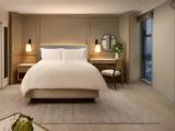 Double Studio Suite with city skyline view
