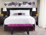 Signature Double Suite