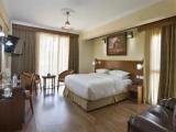 Executive Double Suite