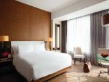 Executive Double Studio Room