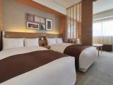 Deluxe Convertible Cross Floor Double room