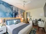 Modern Superior Double room